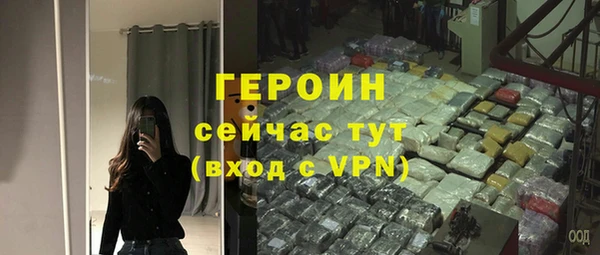 гидра Инта