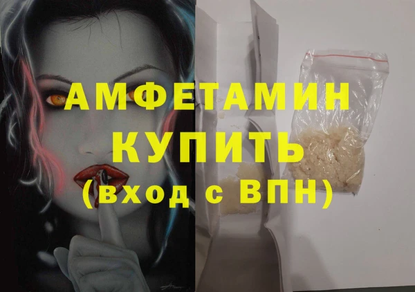 гидра Инта