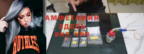гидра Инта