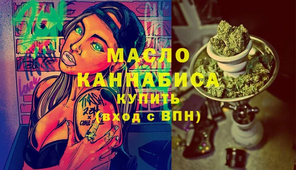 МДПВ Инсар