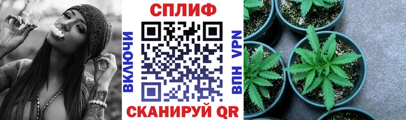 Марихуана THC 21% Лахденпохья